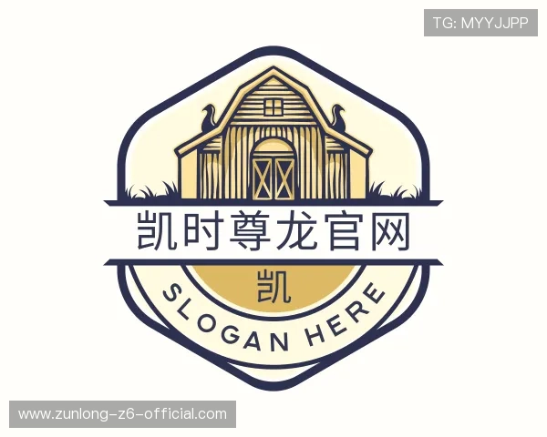 关于凯时尊龙官网